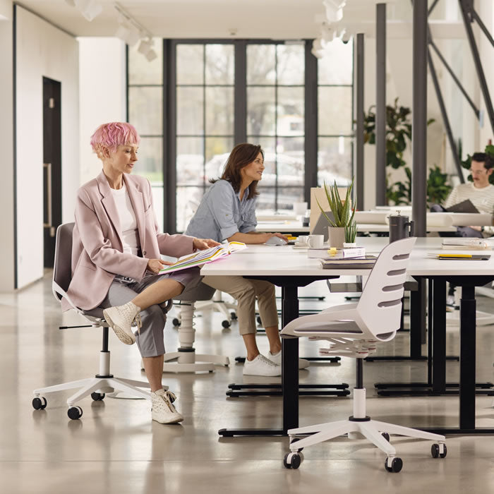 Aeris Numo Task - schokdemper standaard